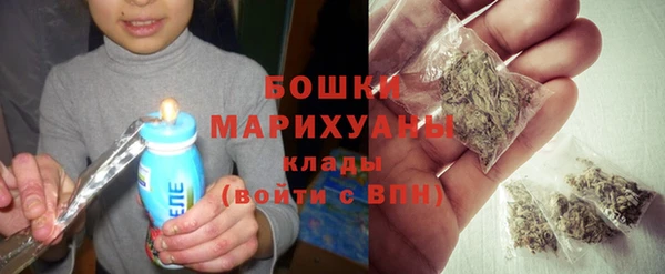 ГАЛЛЮЦИНОГЕННЫЕ ГРИБЫ Грязовец