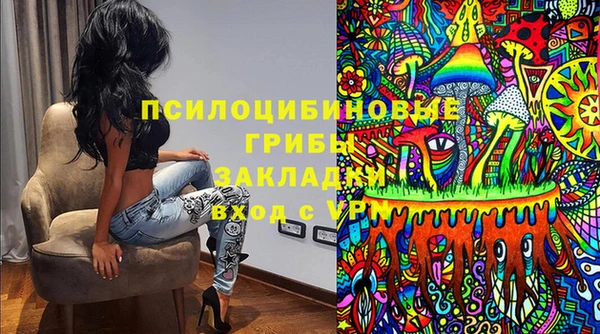 ГАЛЛЮЦИНОГЕННЫЕ ГРИБЫ Грязовец