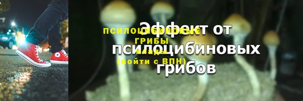 прущий лед Надым