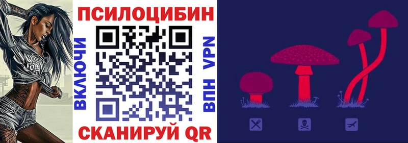 Галлюциногенные грибы мицелий  MEGA ссылка  Кашин 